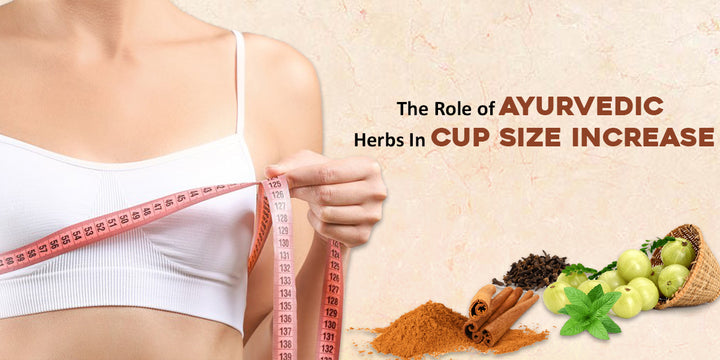The Role Of Ayurvedic Herbs in Cup Size Increase | By Ayursesha - Ayursesha
