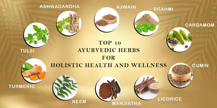 Top 10 Ayurvedic Herbs For Holistic Health and Wellness - Ayur Sesha - Ayursesha
